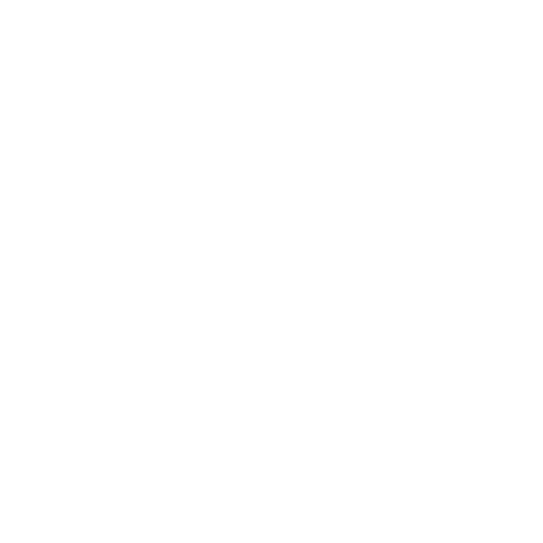 MARSHAL Verkeersregelaars LOGO W